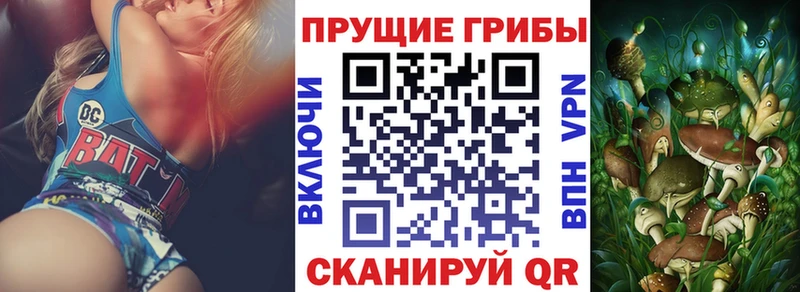 OMG ссылки  Новый Уренгой  Галлюциногенные грибы Magic Shrooms 