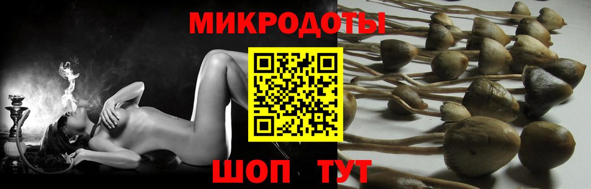 Галлюциногенные грибы прущие грибы Новый Уренгой